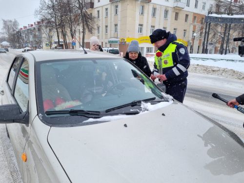 Лениногорскида «Автоледи өчен чәчәкләр» акциясе үткәрелде (+фотолар)
