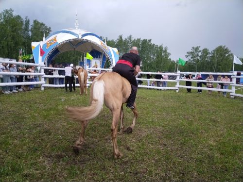 Сабантуйда Аударышка яңгыр да комачау итмәде (+ фотолар)