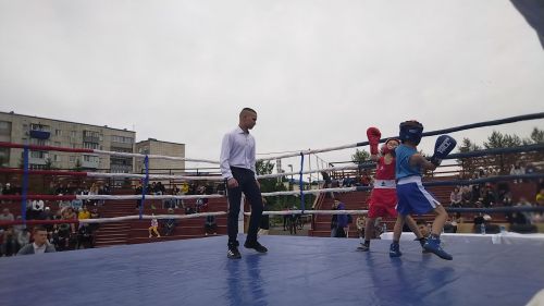 Лениногорскида Shifa Кубогына бокс ярышы узды (+фотолар)