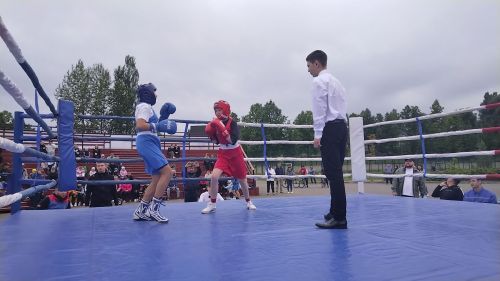Лениногорскида Shifa Кубогына бокс ярышы узды (+фотолар)