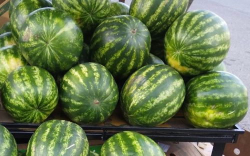 Иртә өлгерешле карбызларның нинди хәтәр белән янавын аңлатканнар