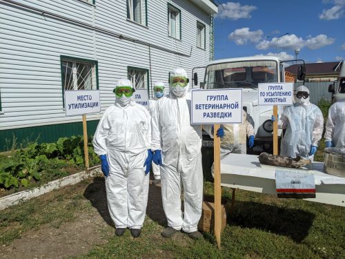Районда малларда инфекцион авыруларны юк итү буенча ведомствоара өйрәнүләр узды