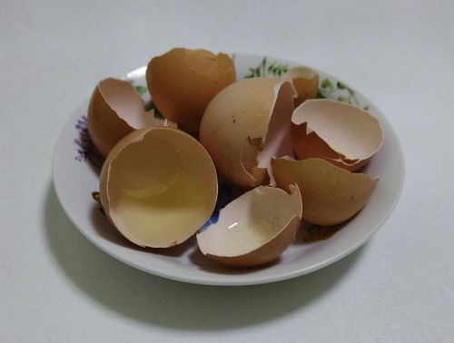 Йомырка кабыгы керне агарта