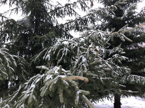 Таһир Шәмсуаров: Теләмичә киткән иске елны әле байтак сагынып сөйләрбез