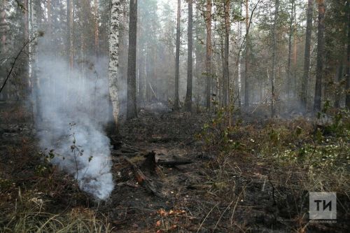 Лениногорск районында янгынга каршы махсус режим гамәлгә керә