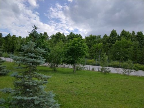 Лениногорскилылар өчен һава торышы: салкыннар килә