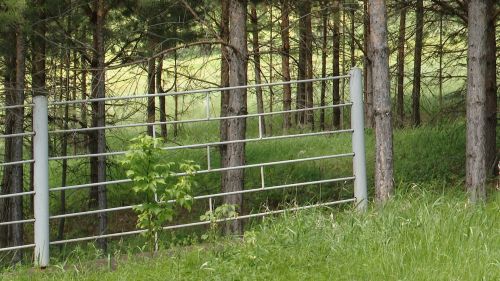 Чияле Тау авылындагы зираттан берничә метр койманы урлап киткәннәр
