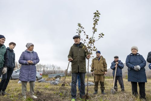 Шөгер авылы паркында 75 төп алмагач утырттылар (+фотолар)
