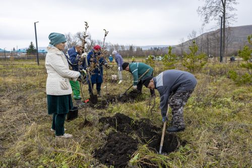 Шөгер авылы паркында 75 төп алмагач утырттылар (+фотолар)