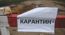 Лениногорск районыннан ерак түгел кош гриппы буенча карантин кертелде