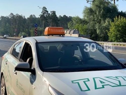 Балалы гаиләләргә кышын таксида йөрү өчен сертификат бирә башларга тәкъдим иттеләр