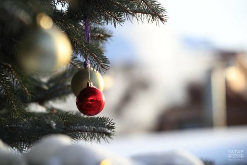 Яңа елны бәйрәм итәргәме-юкмы икәнлеген һәркем үзе хәл итәргә тиеш