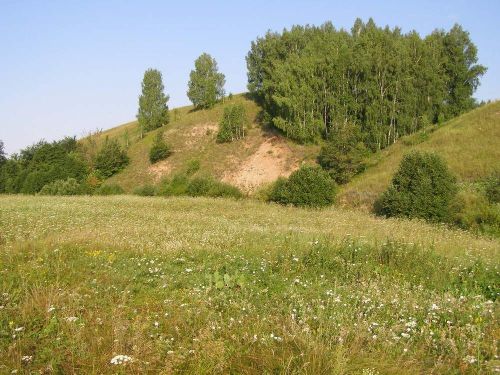 Лениногорск районында “Дала” комплекслы дәүләт табигать тыюлыгына чирек гасыр була