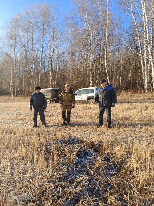 Лениногорск ветеринарлары дуңгызларның африка чумасы һәм кош гриппы авырулары турында кисәтә