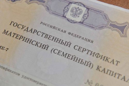 Дәүләт Думасына ана капиталыннан файдалану турында яңа проект керттеләр