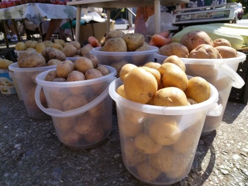 Бәрәңге бакчасындагы каты корттан ничек котылырга?