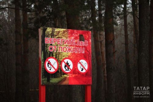 Янгын куркынычы зур булу сәбәпле, Лениногорск урманнарына керүне чикләделәр
