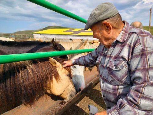 Лениногорск картлар йортында яшәүчеләр «Алмакай» ат утарында экскурсиядэ булдылар