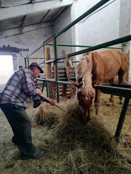 Лениногорск картлар йортында яшәүчеләр «Алмакай» ат утарында экскурсиядэ булдылар