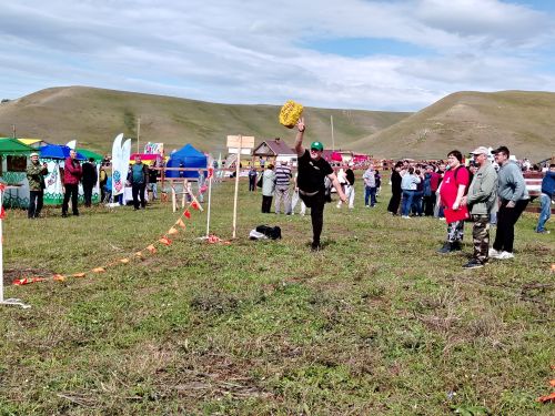 «Татар аты» фестивале традицияләрне берләштерә (фестивальдән бик күп фотолар)