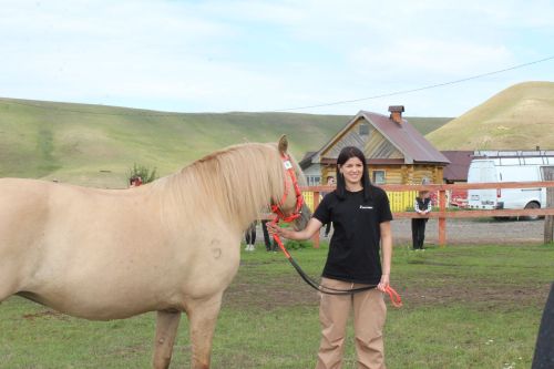 «Татар аты» фестивале традицияләрне берләштерә (фестивальдән бик күп фотолар)