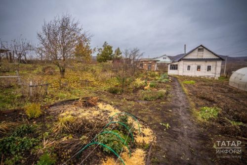 Белгеч киңәше: кышка сарымсак һәм суган утырту