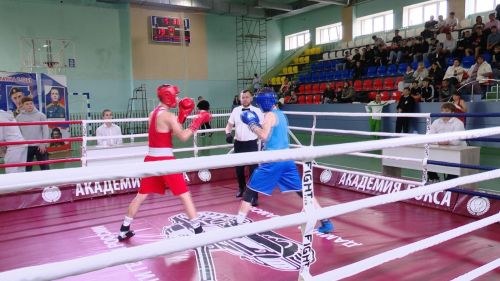 Сайлау көнендә Лениногорскида СВО Геройлары истәлегенә багышланган  бокс турниры уза