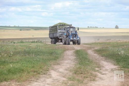 Лениногорск районында яшәүче 500дән артык кеше озак еллар авыл хуҗалыгында эшләп стаж туплаган өчен өстәмә түләү ала