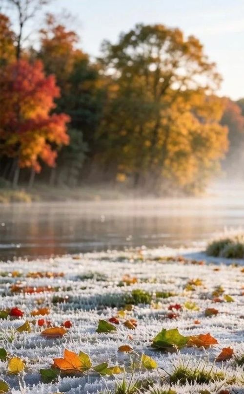 Кырау төшү сәбәпле, Татарстанда гадәттән тыш хәл режимы кертелде