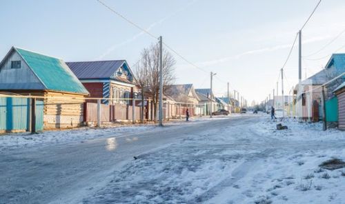 Кышын D витаминын каян алырга?