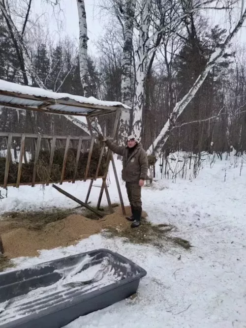 Лениногорск районында кыш көне кыргый җәнлекләрне тукландыруга күпме печән һәм бөртек киткәнен санадылар