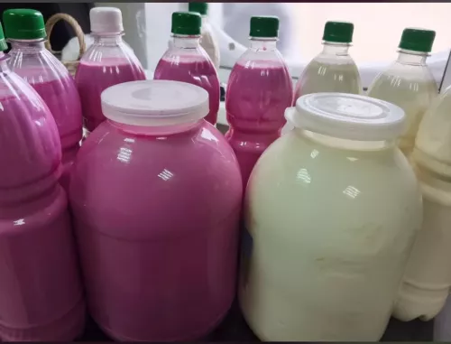 Люция Кашиповадан чөгендерле катык рецепты