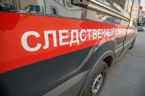 Түбән Камада бультерьер токымлы эт 12 яшьлек кызга һөҗүм иткән