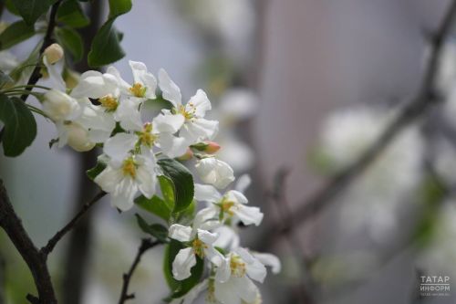 8 майда эш көне кыскартылачак
