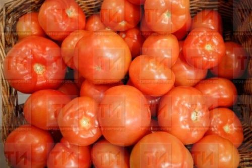 Помидор яфракларын кайчан өзәргә?