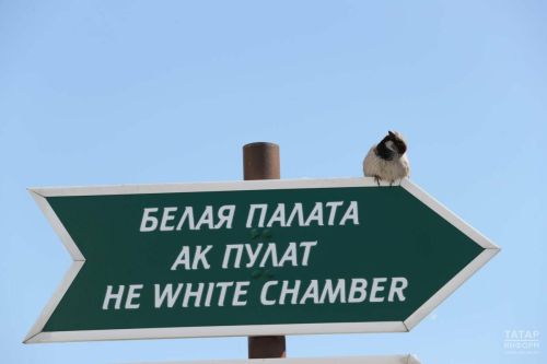 Татарстан халкын чыпчыкларны исәпкә алуда катнашырга чакыралар