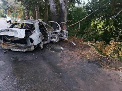 Татарстанда агачка килеп кергән машинада 16 яшьлек җиде яшүсмер барган, 6 кеше һәлак булган