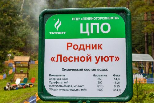 Лениногорск районындагы чишмә «Татнефть»нең чишмәләр конкурсында катнаша