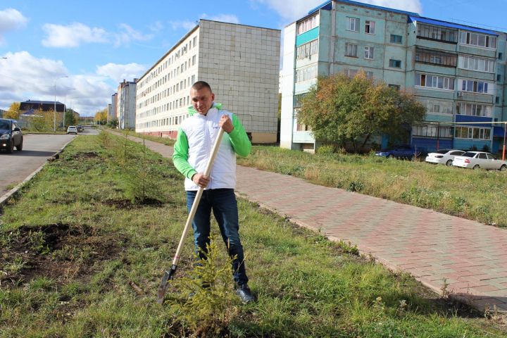 Лениногорскилылар 90 төп чыршы утыртты (ФОТОЛАР)