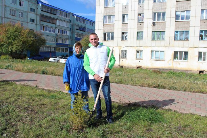 Лениногорскилылар 90 төп чыршы утыртты (ФОТОЛАР)