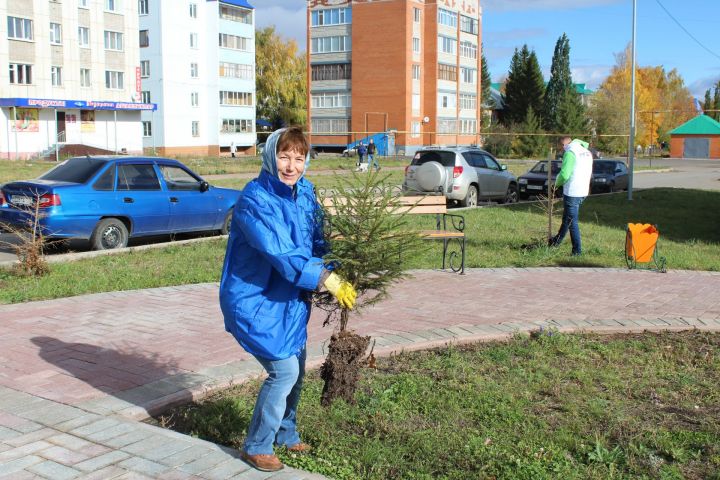 Лениногорскилылар 90 төп чыршы утыртты (ФОТОЛАР)