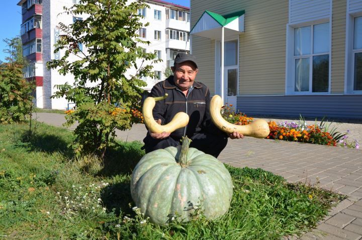 Татарстанда яшәүче 45 килограммлы кабак үстергән [+ФОТО]