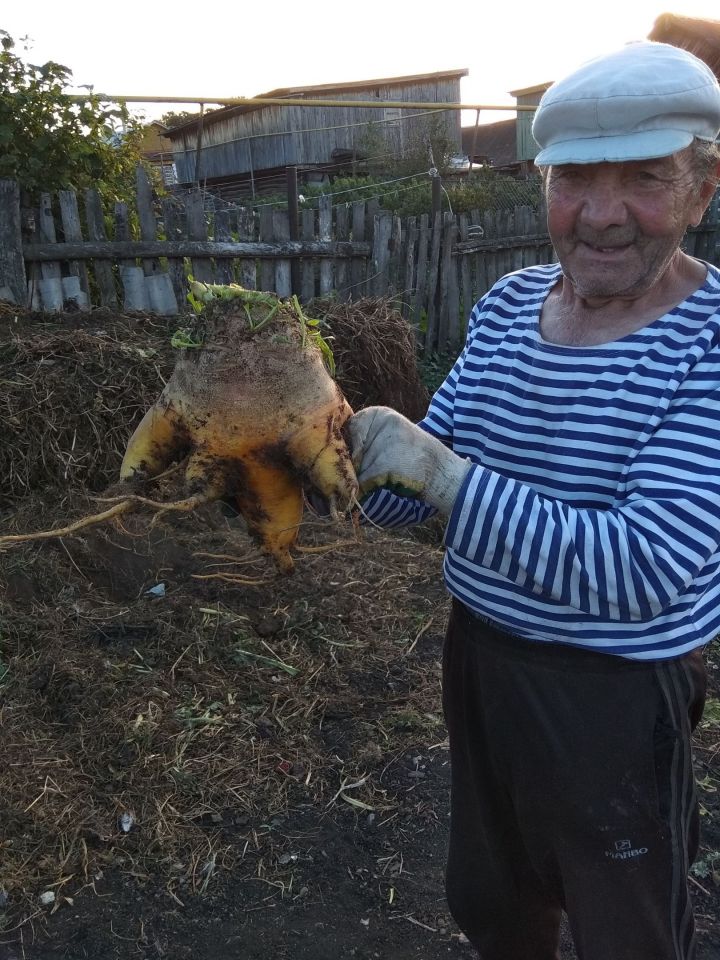 Куакбашта яшәүче Нәбиулла абый менә нинди чөгендер үстергән