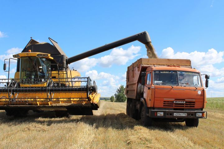 Лениногорск игенчеләре финишка якынлаша