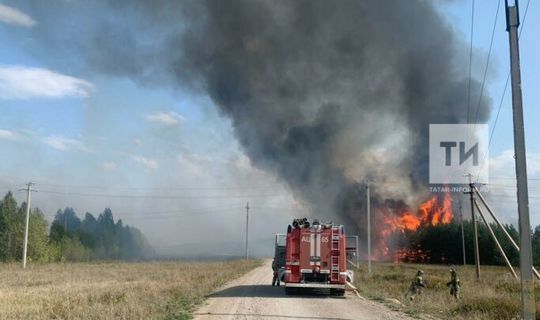 Лениногорск һәм Әлмәт районнары чигендә 5,5 мең кв. метр мәйданда урман янган