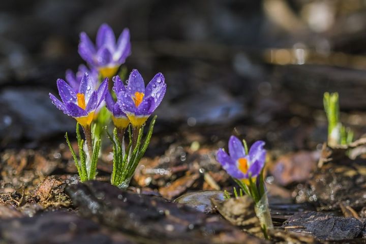 Халык сынамышы: 3 апрельдә сулыкларда боз китмәсә, балыкчылар язгы "ау"ны көтмәсен