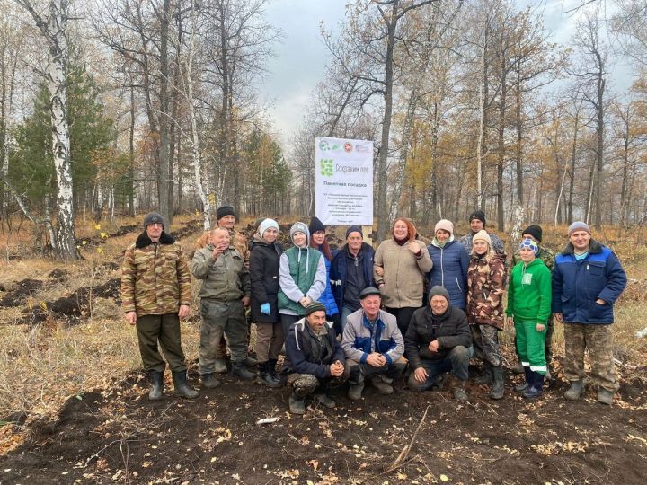 Лениногорскида “Урманнарны саклыйк” акциясе барышында 7 гектардан артык мәйданда агачлар утыртылды