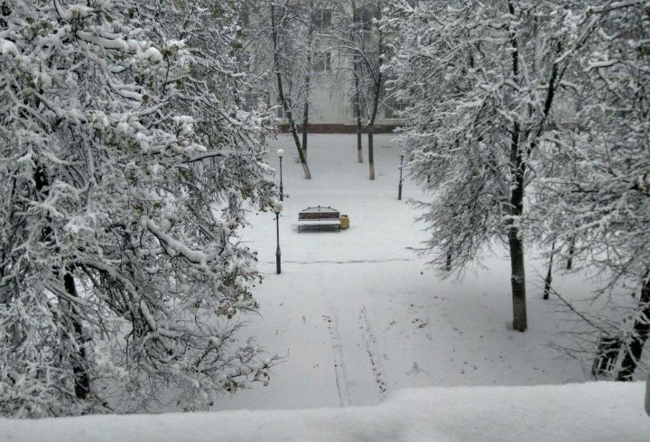 Якташ шагыйрә Илсөяр Сәлахова: Дөнья болганганда, табигать тә тик тормый