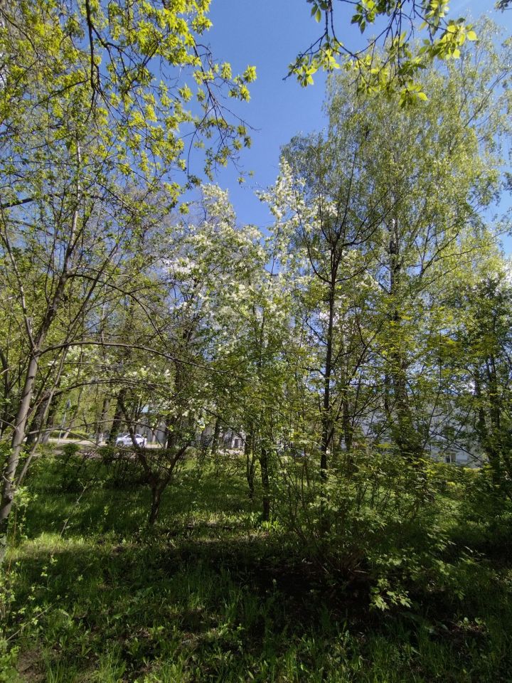 Быел Лениногорскида талпаннар иртәрәк «уянган»