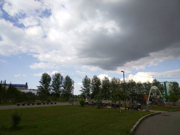 Лениногорскида урман-парк зонасында талпаннарга каршы эшкәртәчәкләр